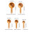 Beech Wood Measuring Scoops 2 Pack 4