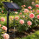 Automatisches Gartenbewässerungsgerät, sonnenbetrieben, mit 6
