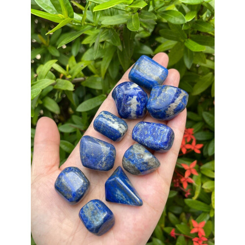 Lapis Lazuli Tromlede Sten 0,75–1 Tommer 1