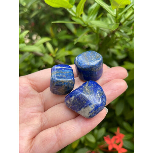 Lapis Lazuli Tromlede Sten 0,75–1 Tommer 2