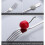 Cake Fruit compatiblek Dinner Salad Tableware Stainless Steel compatiblek(Black) 3