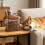 Visible Animal Dry Meal supervisor With comfortable-baise 5