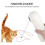 2025 Latest Model Cat LED laser toy cat entertainment toy automatic multi-angle 5