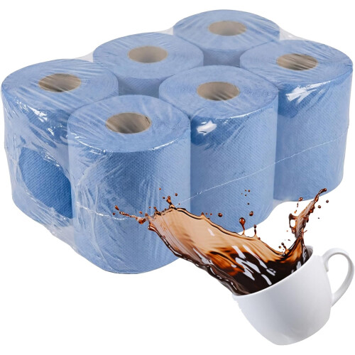 6 Rolls Blue Centrefeed 2ply Embossed Paper Towel 1