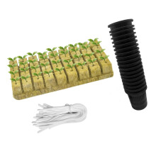Soilless Cultivation Block Ideal for Indoor and Commercial