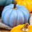 12 mini dovleci artificiali - Decor de Halloween din spumă 2