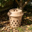 Weatherproof Inground Worm Composter for Gardening Beds Home Use 7