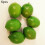Pachet de 6 lime artificiale din plastic pentru decorul casei 4
