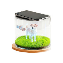Unique Hologram Pet Memorial Box Displays Realistic 3D-5