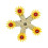 Accessoire de cercle virevoltant d’exercice de conure en bois 1
