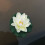Artificial Water Lily Floating Foam Decoration 1pc 6