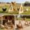 Natural Pine Bird Resting Bar fun Activity Gym For Small Birds 6