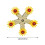 Natural Timber Bird Motion Wheel Circulating Chew Plaything 3