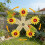 Natural Timber Bird Motion Wheel Circulating Chew Plaything 5