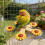 Natural Timber Bird Motion Wheel Circulating Chew Plaything 6