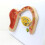 Fetal Development Model with Uterine CrossSection and Removable Parts for Classroom Teaching 3