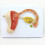 Fetal Development Model with Uterine CrossSection and Removable Parts for Classroom Teaching 4