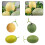 Fructe decorative artificiale cu pepene galben Hami, 16x16cm 4