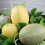 Fructe decorative artificiale cu pepene galben Hami, 16x16cm 5