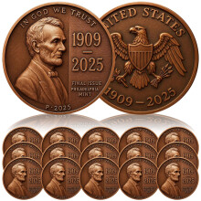 Lincoln Final Penny 15 Piece Set Commemorative CopperTone Coins Collector's Gift 19092025