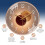 Gold Round Silent Wall Clock 30 cm 3