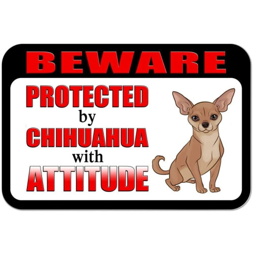 Vintage Chihuahua-plåtskylt 20x30 cm 2