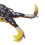 Thunder Frog Esca morbida in silicone, nero/giallo 4