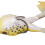 Thunder Frog Esca morbida in silicone, nero/giallo 10