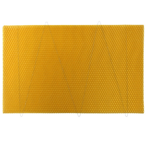 National Beehive Standard Brood Wired Wax Foundation 1