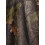 JACK PYKE JACK PYKE Quick Wick Short Sleeve Crew Neck T-Shirt English Oak Evolution Small 7