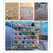 Acrylic Magnetic Seashell Display Case with 36Grid Circular Organizer and Clear Lid Closure