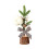 Christmas Ornament Small Mini Artificial Tree Slim Pencil 2