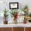 Mini Red Berry Christmas Tree – Plastic Tabletop Decor 4