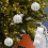 Christmas Ball White Decoration Set 3pcs 3
