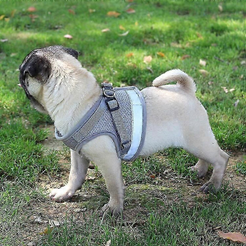Cat Harness Escape Proof, Adjustable Pet Harness for Safe Outdoor Adventures 2