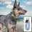 High-Visibility Reflective Collar for Dogs - Adjustable Design for Night Safety 4