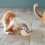 Interactive Cat Toy Touch Activated Simulation Chirping Bird with Sound and Automatic Cat Exercise 2