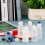 12PCS Glue Applicators Bottles, with Blunt Needle Tip 4