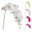 Orchidée papillon en soie à double branche (1 pièce) 2