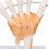Hand Skeleton Model Life Size PVC On Base with Joints Tool for Learning Teaching 2