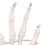 Hand Skeleton Model Life Size PVC On Base with Joints Tool for Learning Teaching 3