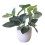 Bonsai artificial verde în ghiveci rotund alb 1