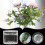 Supporto a spirale per steli Ikebana, griglia floreale trasparente riutilizzabile (S) 1