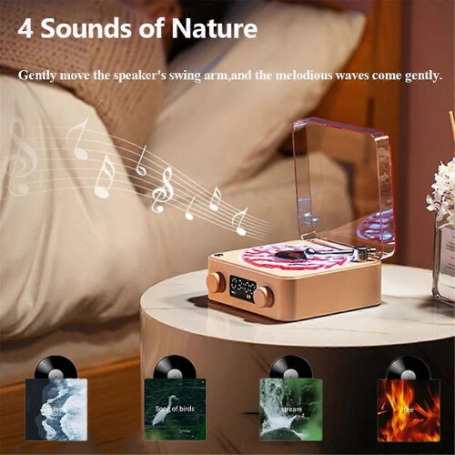 Retro Record Player Bluetooth Audio High Quality Wireless Speaker 2