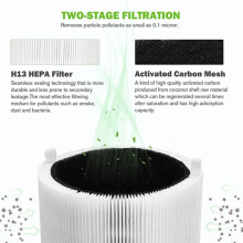 Air Purifier Filter Replacement 411 for Blueair Pure 411+,411 Auto & HEPA Particle and Activated Carbon Filter