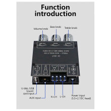 -Modulo amplificatore di potenza digitale Bluetooth 302T