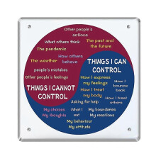 Feeling Wheel for Adults, Acrylic Emotion Wheel Chart, Colorful Mental Health Decor, Social Work Fe