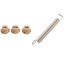 3 Pieces Steel Guitar Tremolo Bridge Tension Springs & Cream Dark Blue Font 1 Volume & 2 Tone Guitar Control Knobs