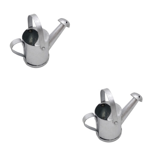Mini vattenkanna i metall, 2-pack