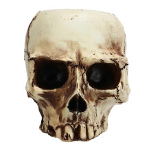 Totenkopf-Blumentopf aus Kunstharz, hochfest, transparent, Totenkopf-Form, Pflanzgefäß für Zuhause,